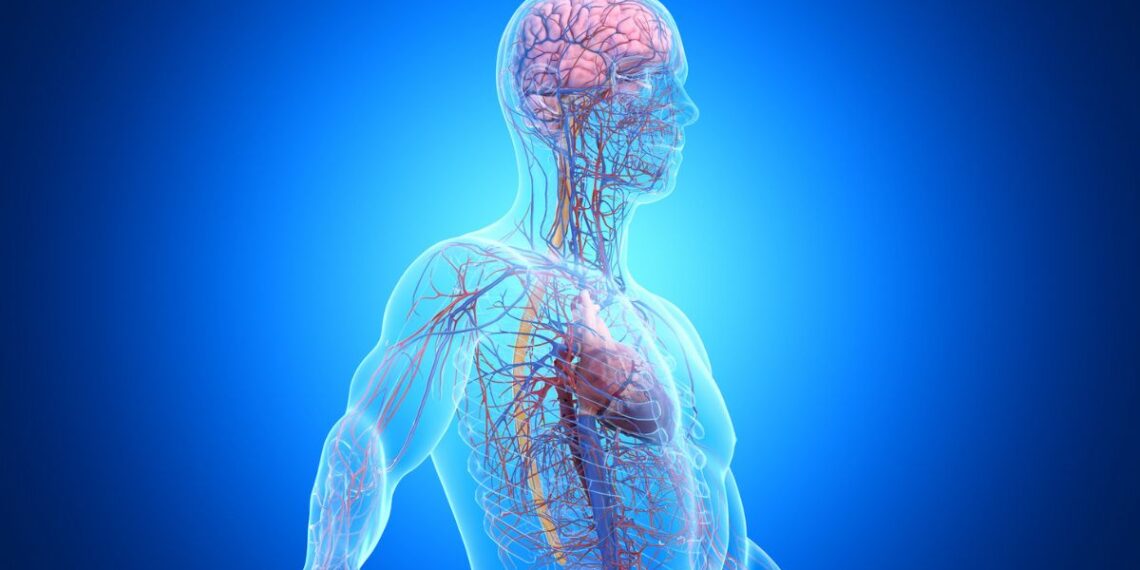 Netikėta išvada: trečdalis demencijos atvejų gali būti susiję ne tik su smegenimis