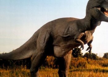 Mokslininkai nustebo: paaiškėjo, kaip iš tiesų judėjo tiranozauras Reksas