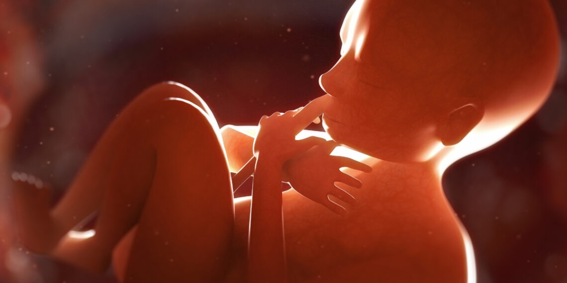 Mokslininkai nustebo: placenta gali atskleisti ankstyvus šizofrenijos rizikos signalus