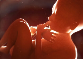 Mokslininkai nustebo: placenta gali atskleisti ankstyvus šizofrenijos rizikos signalus