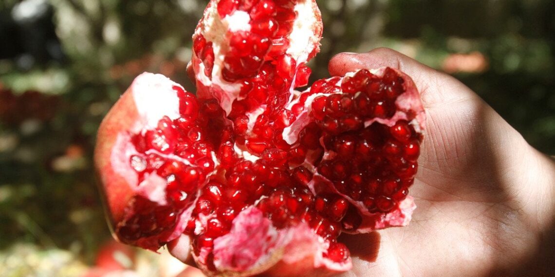 Mėlynės – nebe lyderės? Šie kasdieniai produktai turi daugiau antioksidantų