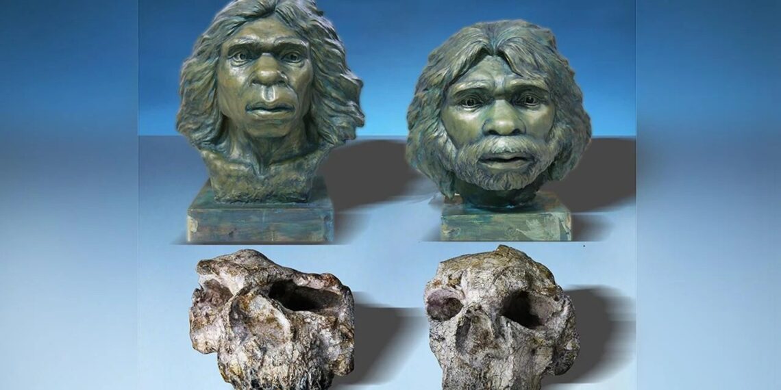 Mokslininkai nustebo: naujos kaukolės meta iššūkį 500 tūkst. metų senumo teorijoms