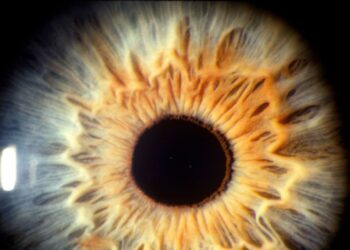 Mokslininkai sukūrė dirbtinę žmogaus akį: atradimas atskleidė svarbią regos paslaptį