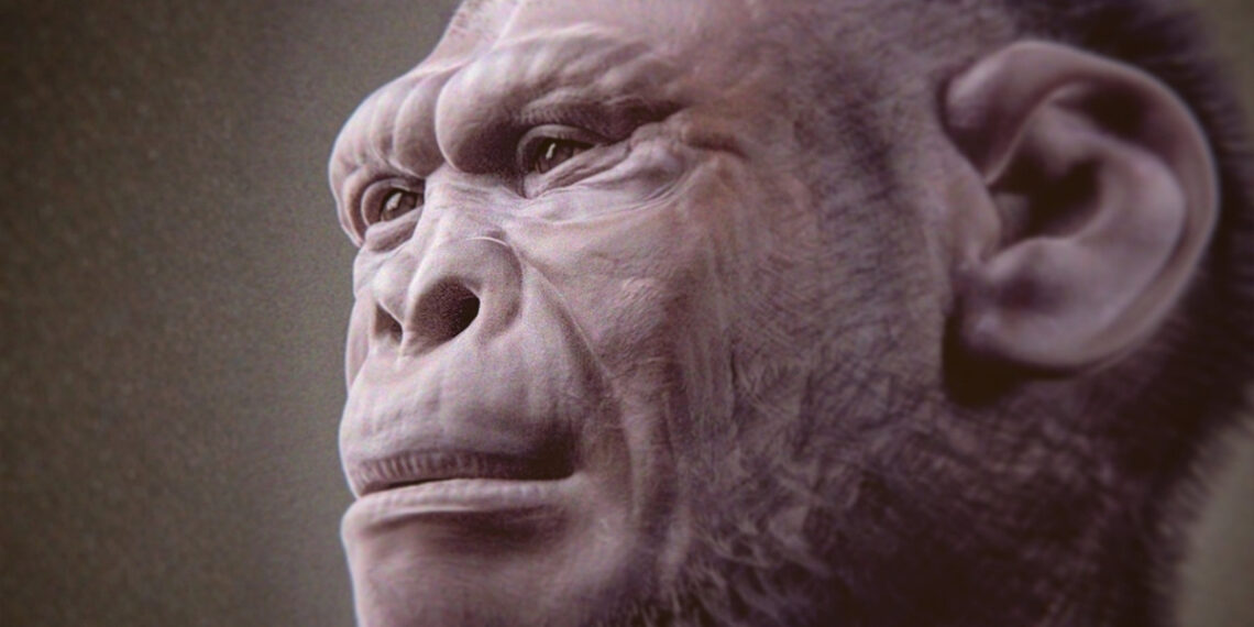 2 mln. metų senumo fosilija atveria naujų klausimų apie žmonijos kilmę