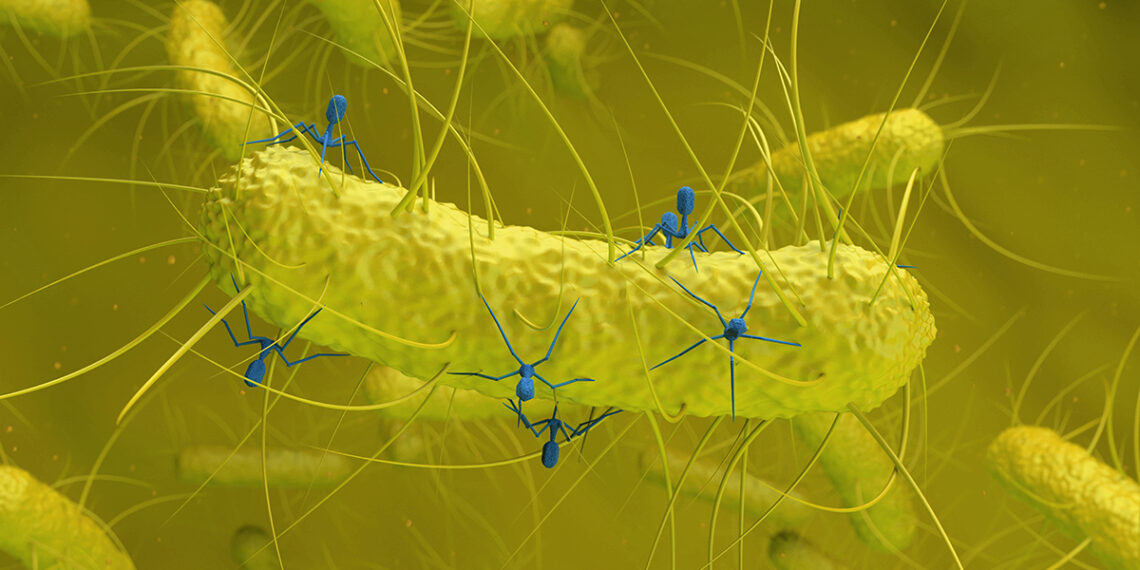 Mokslininkai aptiko nerimą keliantį ryšį: žarnyno bakterijose rastas virusas siejamas su vėžiu