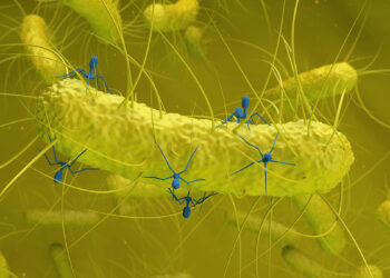 Mokslininkai aptiko nerimą keliantį ryšį: žarnyno bakterijose rastas virusas siejamas su vėžiu