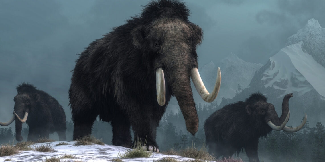 Šokiruojantis atradimas Amerikoje: mamutų iltys keičia mūsų supratimą apie pirmuosius žmones