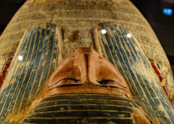 Šokiruojantis atradimas: tyrimas atskleidė, kas slėpėsi mumijų viduje