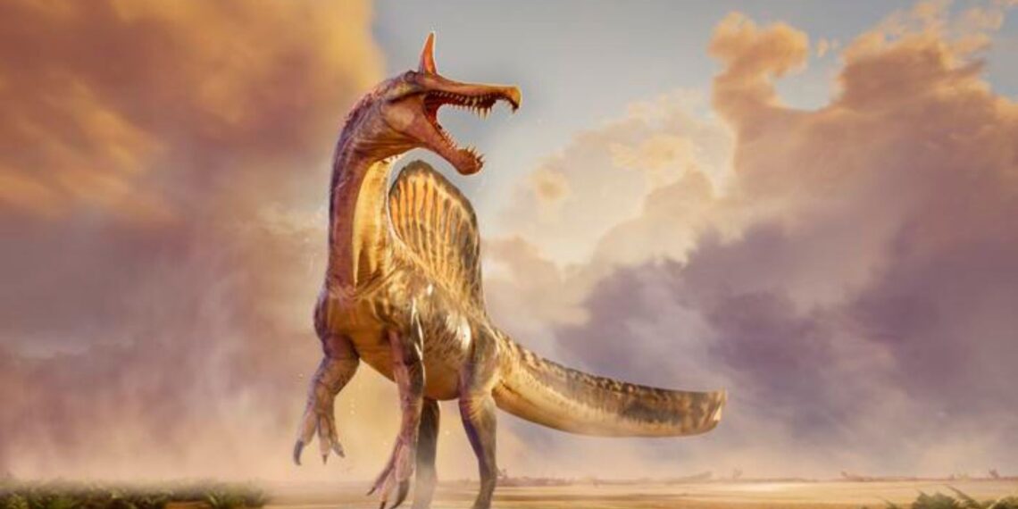 Netikėtas atradimas: mokslininkai aptiko naują dinozaurų rūšį, medžiojusią žuvis