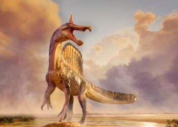 Netikėtas atradimas: mokslininkai aptiko naują dinozaurų rūšį, medžiojusią žuvis