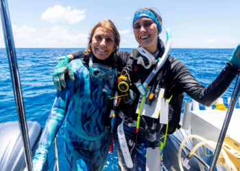 Didžiajame Barjeriniame rife aptikta milžiniška koralų kolonija: rekordą užfiksavo narės mėgėjos