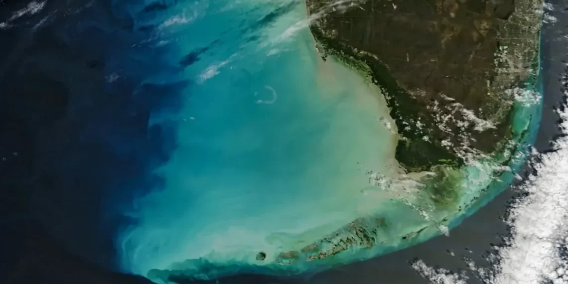 Mokslininkai sunerimę: po audrų Meksikos įlanka švyti neįprasta žalia spalva