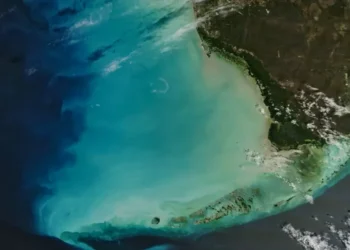 Mokslininkai sunerimę: po audrų Meksikos įlanka švyti neįprasta žalia spalva