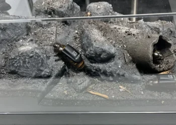 Miniatiūriniai dronai primena vabzdžius: NATO plečia technologinius bandymus