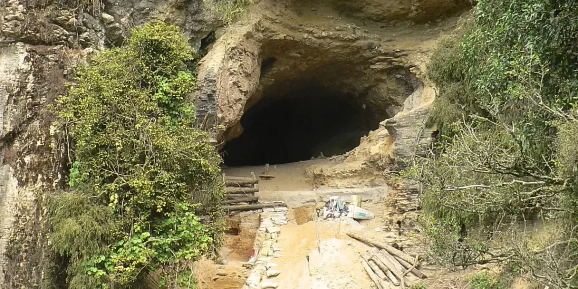 Naujojoje Zelandijoje rado milijoną metų slėptą urvą: atskleistas „dingęs“ gamtos tomas