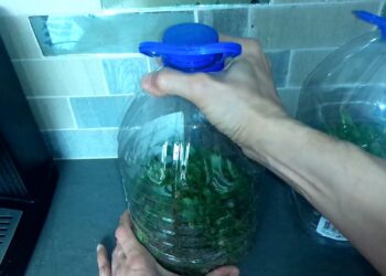 Sodininkų triukas: plastikiniai buteliai gali tapti idealiomis daigyklomis