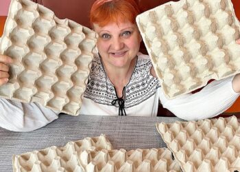 Vietoj batų padėklo – kiaušinių dėklai: pigus sprendimas, kuris veikia