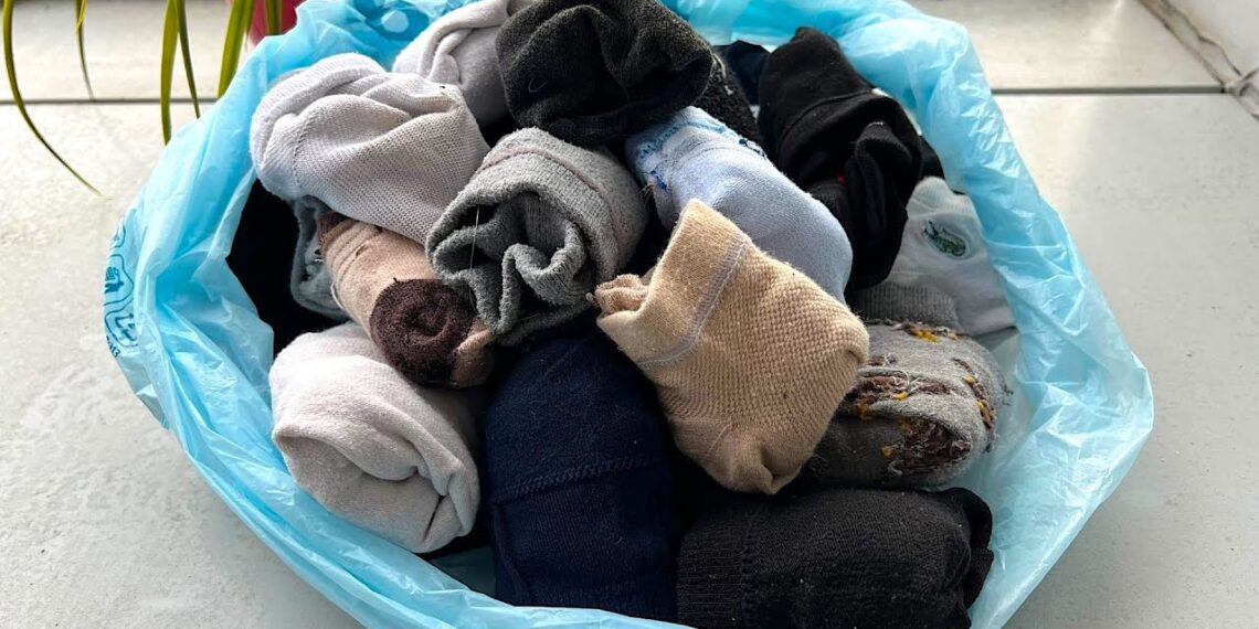 Nebemeskite skylėtų kojinių: netikėtas triukas darže padės sutaupyti ir padidinti derlių