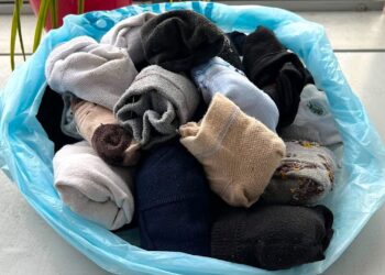 Nebemeskite skylėtų kojinių: netikėtas triukas darže padės sutaupyti ir padidinti derlių