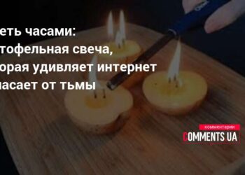 Neįtikėtina: bulvės žvakė dega valandomis – internetas šėlsta, o sąskaitos už elektrą tirpsta