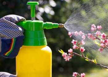 Nepraleiskite šio momento: ankstyvas purškimas gali išgelbėti derlių nuo kenkėjų ir ligų