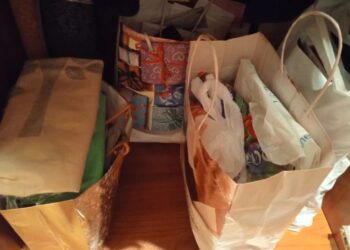 Kodėl plastikiniai maišeliai žiemą praverčia labiau, nei manėte