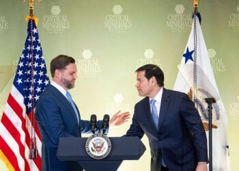 Kritinių mineralų kova: pagrindinės valstybės remia Trumpo poziciją