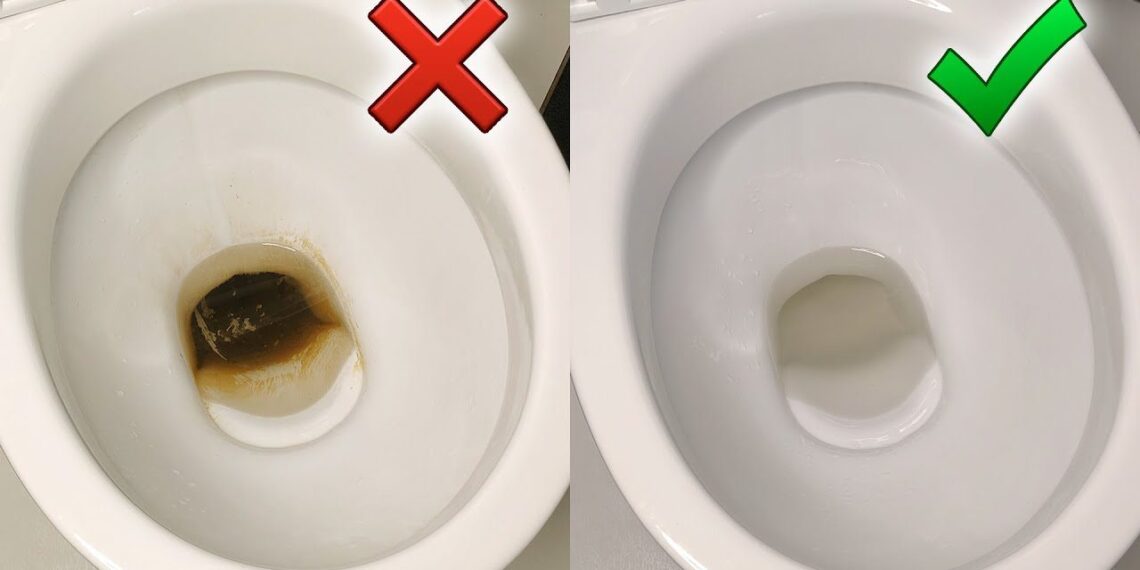 Svečių nebegąsdins dėmės: 2 veiksmingi būdai išvalyti tualetą be agresyvios chemijos