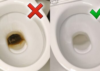 Svečių nebegąsdins dėmės: 2 veiksmingi būdai išvalyti tualetą be agresyvios chemijos