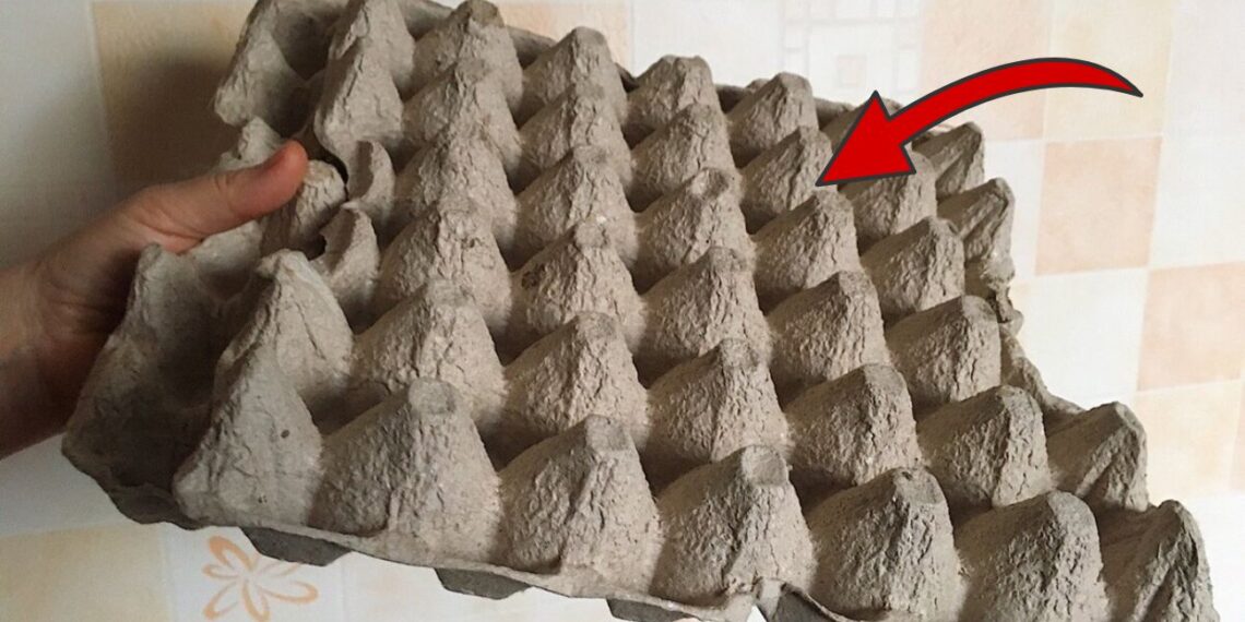 Kiaušinių dėklai namuose: netikėti panaudojimo būdai