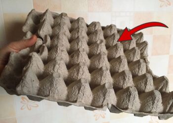 Kiaušinių dėklai namuose: netikėti panaudojimo būdai