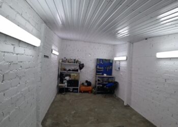 Metus kovojau su drėgme garaže: sprendimas pasirodė stebėtinai paprastas