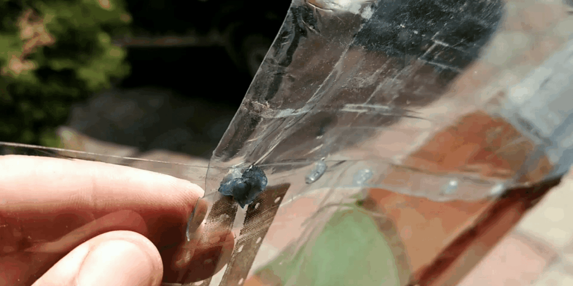 Keista plastikinių butelių konstrukcija darže? Pasirodo, tai genialus sprendimas