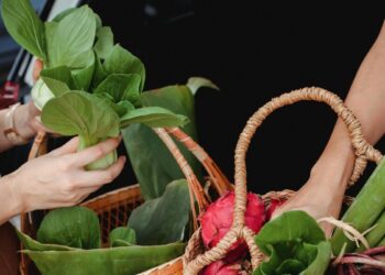 Pamiršk ankstyvą žilimą: 7 kasdieniai produktai, kurie gali padėti sulėtinti plaukų žilimą