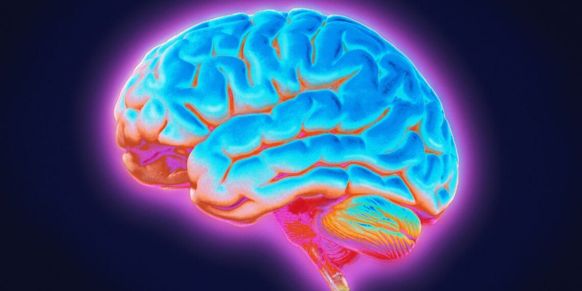 Naujas tyrimas rodo: Parkinsono ligos šaknys gali slypėti giliau smegenyse, nei manyta