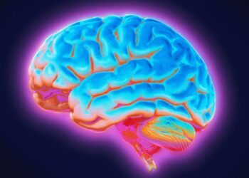 Naujas tyrimas rodo: Parkinsono ligos šaknys gali slypėti giliau smegenyse, nei manyta