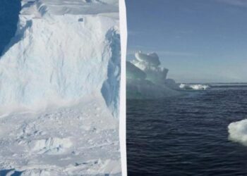 Milžiniškas Antarktidos ledynas kelia grėsmę pasauliui: mokslininkai siūlo, kaip jį stabilizuoti