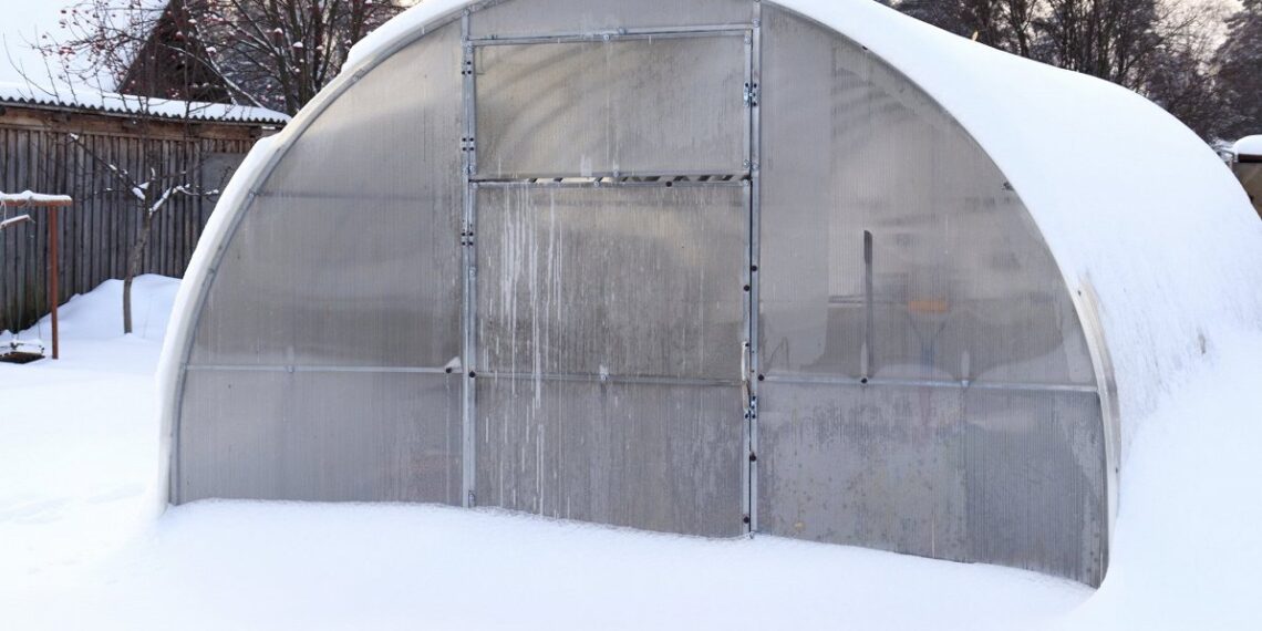 Viena klaida žiemą – ir derliaus gali nebūti: svarbus įspėjimas sodininkams