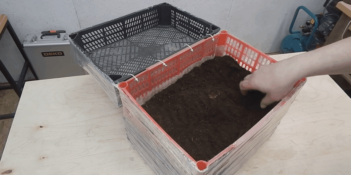 Per 15 minučių – naminis šiltnamis: paprastas sprendimas apsaugoti daigus