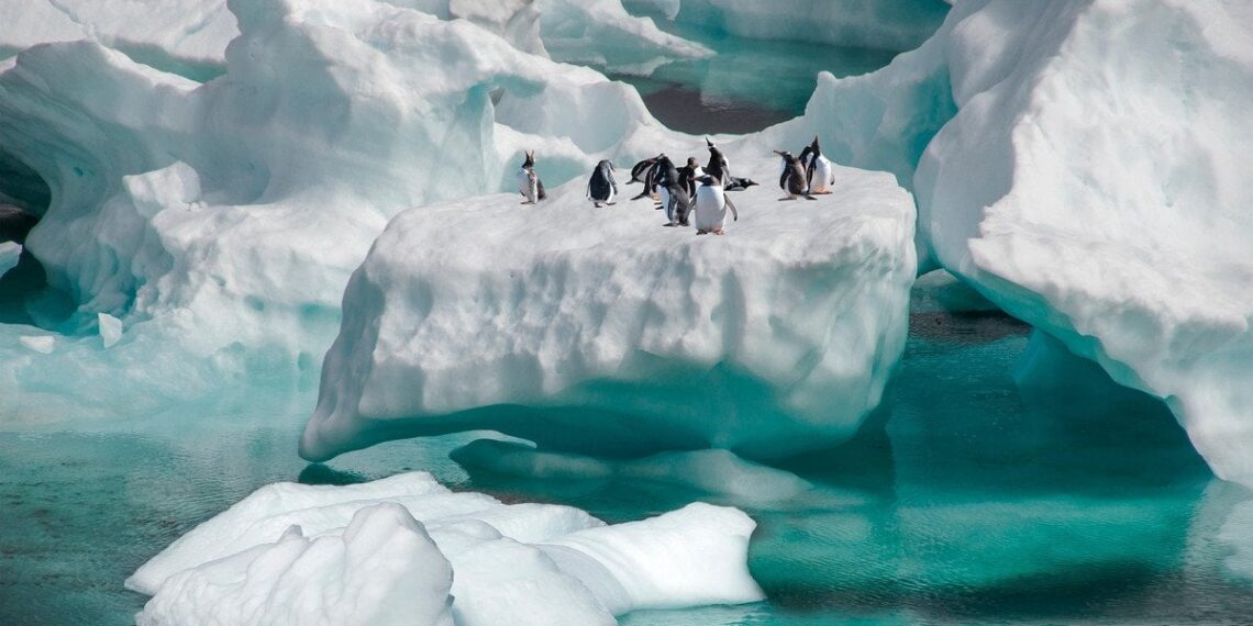 Mokslininkai tiria paslaptingą reiškinį po Antarktida: užfiksuota gravitacijos anomalija