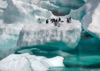 Mokslininkai tiria paslaptingą reiškinį po Antarktida: užfiksuota gravitacijos anomalija