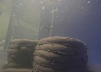 Po vandeniu spausdinamas betonas: revoliucija vėjo jėgainių parkuose ir gynyboje