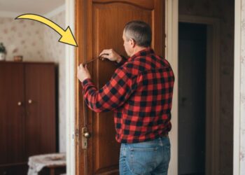 Kaip sumažinti šilumos nuostolius per duris? Paprastas sprendimas