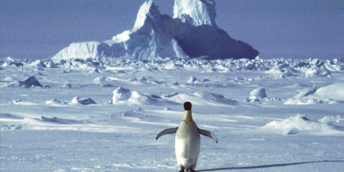 Milžiniškas kanjonas po ledu: mokslininkų atradimas sukrėtė tyrėjus