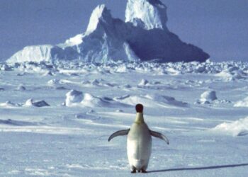 Milžiniškas kanjonas po ledu: mokslininkų atradimas sukrėtė tyrėjus