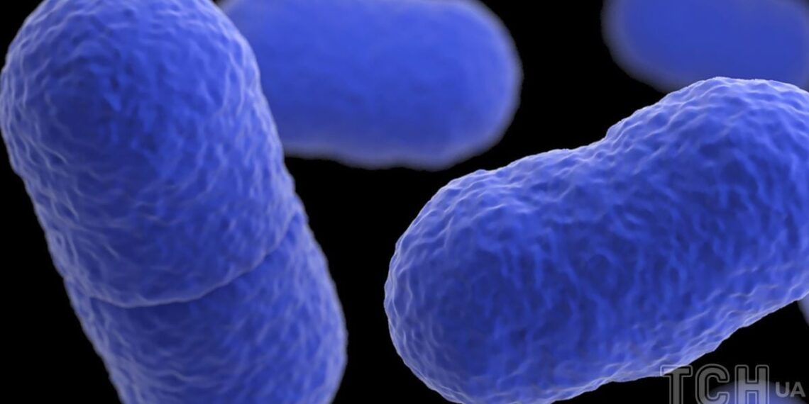 Milijonus metų miegoję mikrobai pabudo – mokslininkai sunerimę