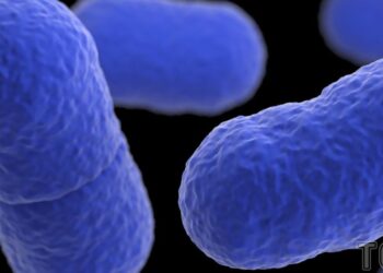 Milijonus metų miegoję mikrobai pabudo – mokslininkai sunerimę