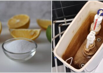 Prieš miegą į klozeto bakelį subėrė citrinos rūgšties: ryte rezultatas nustebino