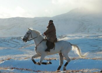 Slapta Kremliaus dovana Kimui: Putinas siunčia „stalinius žirgus“