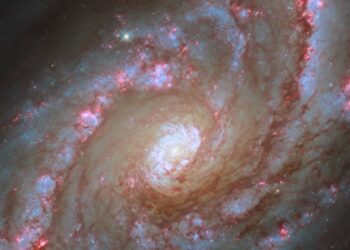 „Raudonoji bulvė“ kosmose: NASA rado milžinišką mirusią galaktiką